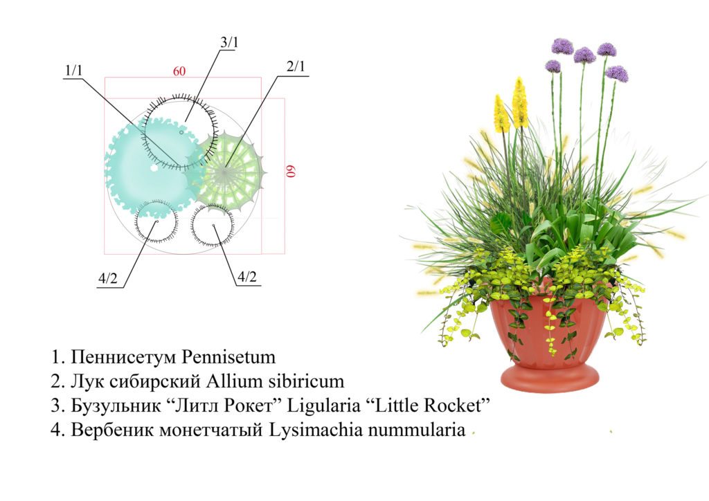 Схема посадки цветов в вазоны на улице